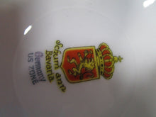 Load image into Gallery viewer, Schumann Bavaria Germany Handpainted Floral Dinner Plate