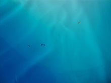 Load image into Gallery viewer, MCM Viking Glass Bluenique Six Petal Compote Bowl Dish