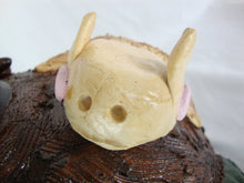 Load image into Gallery viewer, Dale Costner Signed Folk Art Woodland Squirrel with Acorns Face Jug