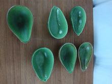 Load image into Gallery viewer, Vintage Ceramic Avocado Shape Guacamole Salsa Serving Bowls Set of 6