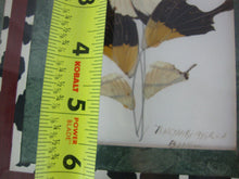 Load image into Gallery viewer, 1993 Artist Signed Teneyambi Bangu Butterfly Wing Floral Framed Art Pair