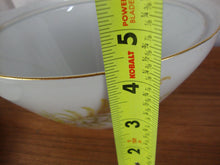 Load image into Gallery viewer, Vintage Plankenhammer Floss Bavaria Fern Tureen Serving Dish