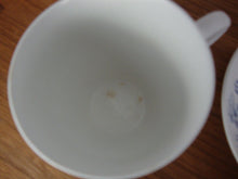 Load image into Gallery viewer, Vintage Enoch Wedgwood Countryside Teacup and Saucer Service for 4