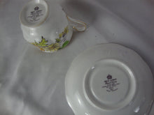 Load image into Gallery viewer, Vintage Royal Albert China Flower of the Month Daisy #4 Teacup and Saucer Set
