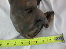 Load image into Gallery viewer, Resin Stately Resting Bison Figurine Table Decor