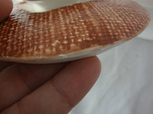 Load image into Gallery viewer, Vintage Ucagco Japan Ceramic Appetizer Dish Dip Set with Woven Basket Server