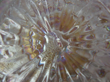 Load image into Gallery viewer, Vintage Imperial Glass White Carnival Glass Pansy Motif Nappy Bowl