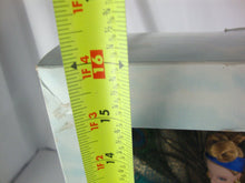 Load image into Gallery viewer, 1998 Mattel Birds of Beauty Peacock Collector Barbie NI