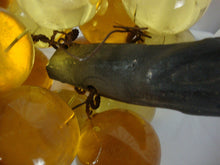 Load image into Gallery viewer, MCM Retro Lucite Amber Grapes Bunch with Rustic Wood Stem