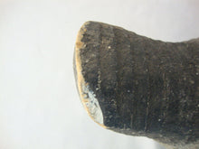 Load image into Gallery viewer, Vintage Hand Carved Primitive Wood Painted Mallard Duck Decoy