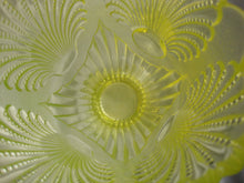 Load image into Gallery viewer, Vintage Mosser Glass Uranium Glass Shell Footed Pitcher