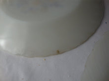Load image into Gallery viewer, Vintage Termocrisa Milk Glass Lunch Plates Set of 5 Gold with Brown Leaves Flowers Motif
