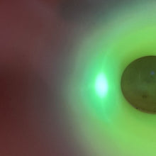 Load image into Gallery viewer, Vintage Fenton Burmese Handpainted Trillium Large Vase