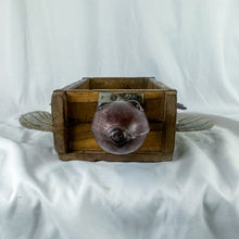 Load image into Gallery viewer, Vintage Brick Mold Turtle