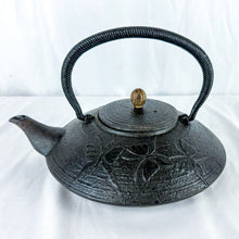 Load image into Gallery viewer, Vintage Chinese Cast Iron Butterfly Motif Teapot
