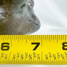 Load image into Gallery viewer, 2002 Signed Grace Nell Hewell Double-Sided Ugly Face Jug