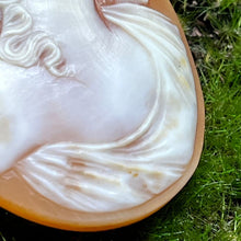 Load image into Gallery viewer, Cameo, Abalone, Hand Carved, 1800's Roman Nose