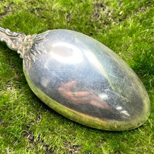 Load image into Gallery viewer, Spoon, Serving, Gorham Chantilly, Monogram M, 8 1/2 inch