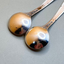 Load image into Gallery viewer, Spoon, Salt, Sterling Silver, Webster