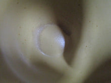 Load image into Gallery viewer, Vintage Porcelain Tan/Blue Floral Teapot with Bamboo Handle and (6) No Handle Tea Cups