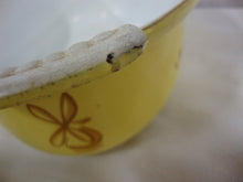 Load image into Gallery viewer, Vintage DRU Holland Cast Iron & Enamel Tulip Covered Baking Dish