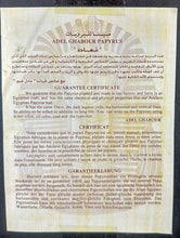 Load image into Gallery viewer, Signed Adel Ghabour Egyptian Papyrus Painting, Includes Certificate
