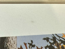 Load image into Gallery viewer, Vintage 1995 Artist Signed "Wary Strangers" by Mel Steele Lithograph, 337/2500