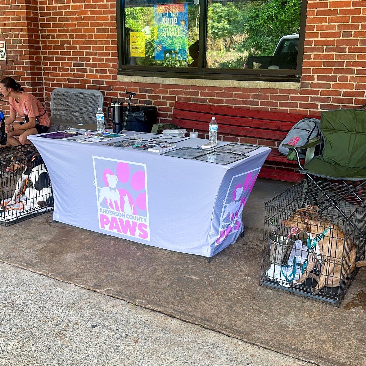 Plenty of Pets: Our Dog Adoption Event with Anderson County PAWS ...