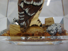 Load image into Gallery viewer, Vintage Canada Great Horned Owl Carved &amp; Hand Painted Souvenir Paperweight
