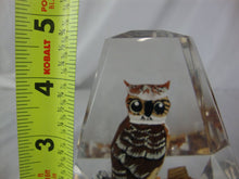 Load image into Gallery viewer, Vintage Canada Great Horned Owl Carved &amp; Hand Painted Souvenir Paperweight
