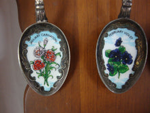 Load image into Gallery viewer, Vintage Monthly Flower Collector Spoons (12) with Wood Wall Display Shelf
