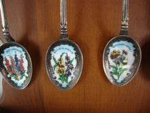 Load image into Gallery viewer, Vintage Monthly Flower Collector Spoons (12) with Wood Wall Display Shelf
