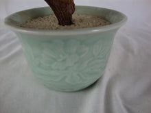 Load image into Gallery viewer, Vintage Chinese Glass Agate Celadon Pot Flowering Jade Bonsai Tree
