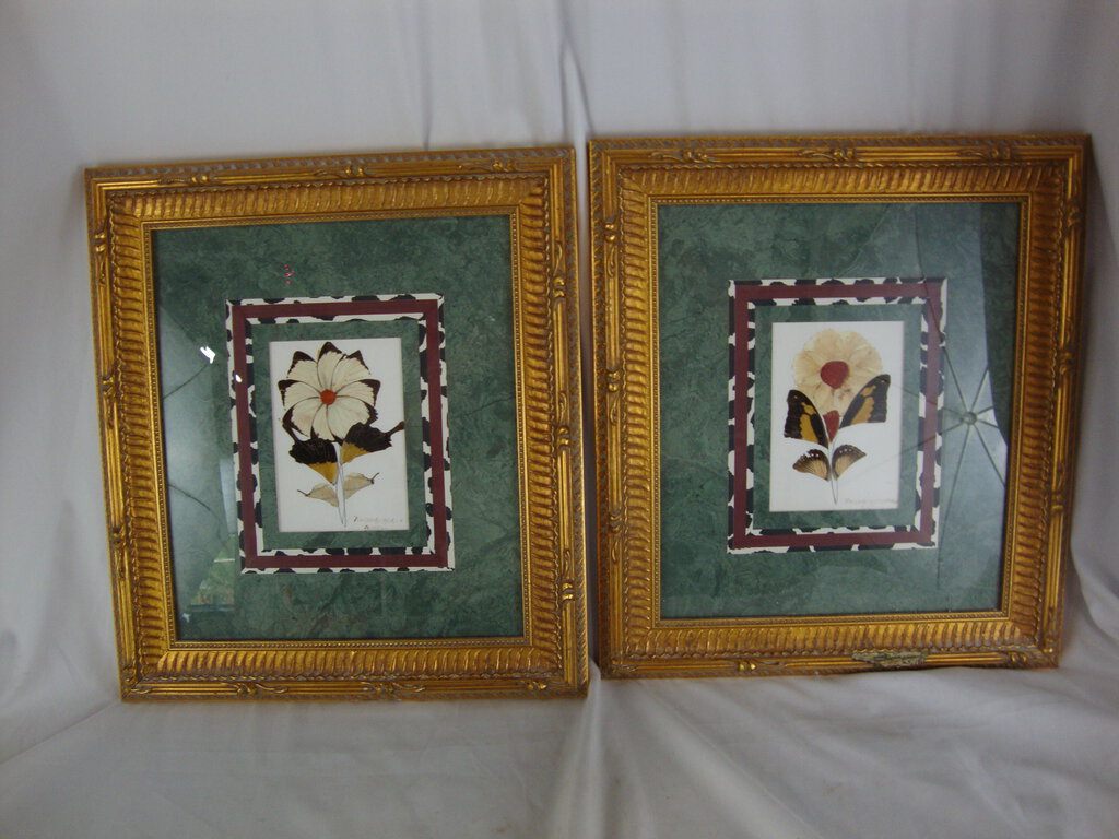 1993 Artist Signed Teneyambi Bangu Butterfly Wing Floral Framed Art Pair