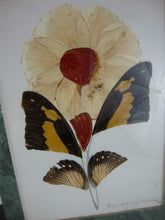 Load image into Gallery viewer, 1993 Artist Signed Teneyambi Bangu Butterfly Wing Floral Framed Art Pair
