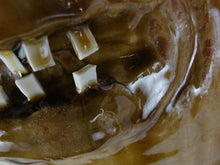 Load image into Gallery viewer, Marvin Bailey Pottery 19 Inch Amber Tan Xlarge 11 Tooth Ugly Face Jug
