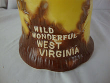 Load image into Gallery viewer, 1975 Royal Halburton China Wild Wonderful West Virginia Tree Stump Leaf Decanter
