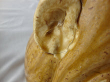 Load image into Gallery viewer, Marvin Bailey Folk Art Potter Alkaline Glaze Tan 9 Inch Devil Ugly Face Jug

