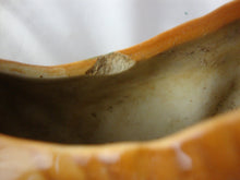 Load image into Gallery viewer, Vintage Ceramic Collie Dog Indoor Planter Imperfect
