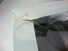 Load image into Gallery viewer, 1998 Mattel Birds of Beauty Peacock Collector Barbie NI
