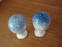 Load image into Gallery viewer, Vintage Bing Grondahl Blue White Seagull Salt Pepper Shaker Set
