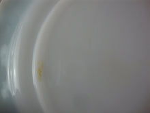 Load image into Gallery viewer, Vintage Hazel Atlas Blue Aqua Crinoline Dinner Plates Set of 2
