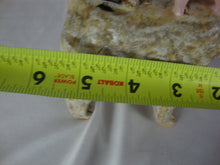 Load image into Gallery viewer, Lynn Bailey SC Pottery Tan Bull Pig and Black White Dog on Back Pottery Figurine
