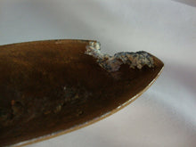 Load image into Gallery viewer, 1950's Chevrolet Truck #3725689 Grille Emblem
