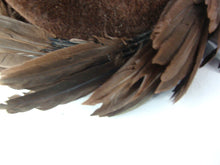Load image into Gallery viewer, Retro 1950's Womens Dark Brown Velvet and Feather Hat
