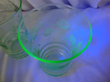 Load image into Gallery viewer, Vintage Vaseline Floral Etched Tumbler Drinking Glasses Set of 4

