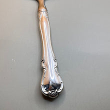Load image into Gallery viewer, Server, Pie or Cake, Sterling Silver, Towle French Provincial, Steel Blade, Sterling Handle
