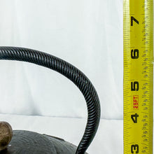 Load image into Gallery viewer, Vintage Chinese Cast Iron Butterfly Motif Teapot
