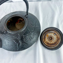 Load image into Gallery viewer, Vintage Chinese Cast Iron Butterfly Motif Teapot
