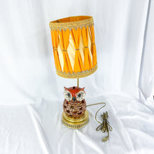 Load image into Gallery viewer, Custom Up-Cycled Owl Lamp
